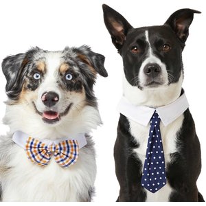 Frisco Plaid Dog & Cat Bow Tie, Medium/Large, Orange & Blue + Polka Dot, Navy