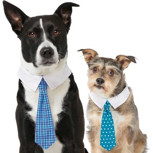 Frisco Plaid Dog & Cat Neck Tie, Medium/Large, Blue Plaid + Polka Dot, Teal
