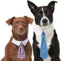 Frisco Plaid Dog & Cat Neck Tie, Medium/Large, Red & Blue + Blue Plaid