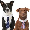Frisco Polka Dot Dog & Cat Neck Tie, Medium/Large, Navy + Plaid, Red & Blue
