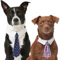 Frisco Polka Dot Dog & Cat Neck Tie, X-Small/Small, Navy + Plaid, Red & Blue