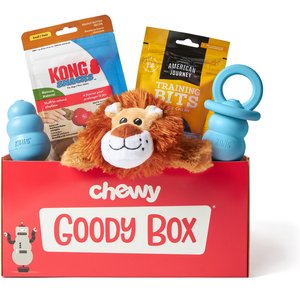Goody Box x KONG Puppy Toys & Treats, Medium