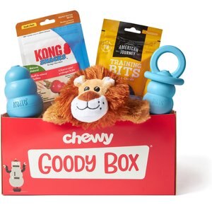 Goody Box x KONG Puppy Toys & Treats, Large