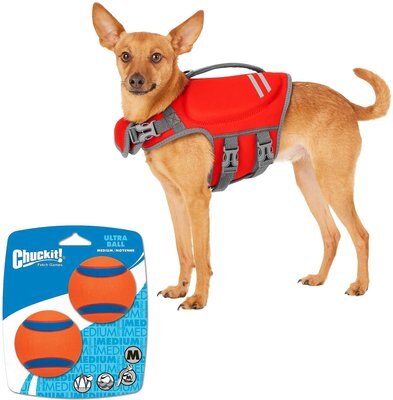 Frisco Neoprene Life Jacket + Chuckit! Ultra Rubber Ball Tough Dog Toy, Small, slide 1 of 1