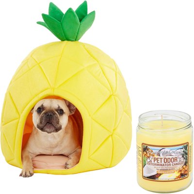 YML Pineapple Covered Bed, Medium + Pet Odor Exterminator Pineapple Coconut Deodorizing Candle, slide 1 of 1