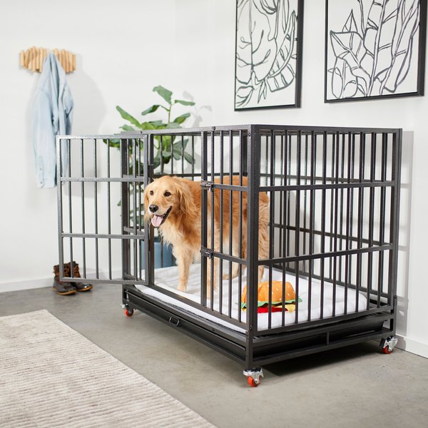 Frisco Ultimate Foldable & Stackable Heavy Duty Steel Metal Single Door Dog Crate, X-Large: 48-in L x 33-in W x 42-in H slide 1 of 8
