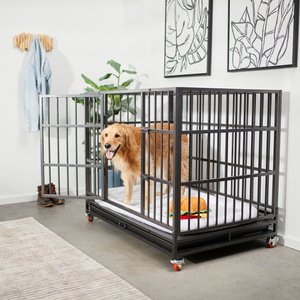 Frisco Ultimate Foldable & Stackable Heavy Duty Steel Metal Single Door Dog Crate, X-Large: 48-in L x 33-in W x 42-in H
