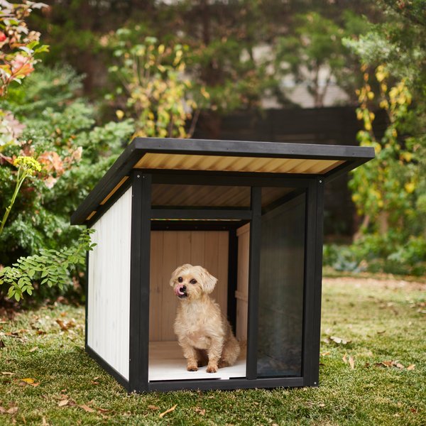Frisco Modern Wooden Outdoor Dog House, White, Large slide 1 of 8