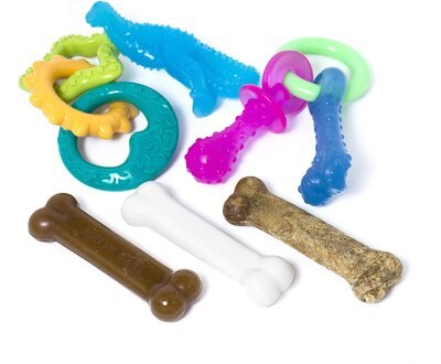 Nylabone Teething Kit & Chew Treat Variety Flavor Starter Kit Puppy Dog Chew Toys, slide 1 of 1
