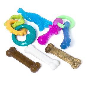 Nylabone Teething Kit & Chew Treat Variety Flavor Starter Kit Puppy Dog Chew Toys