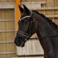 Horze Equestrian Grayson Classic Dressage Ergonomic Horse Bridle, Horse