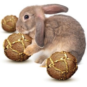 SunGrow Coconut Fiber Rabbit, Bunny, & Small Animal Chew Toy, 3 count