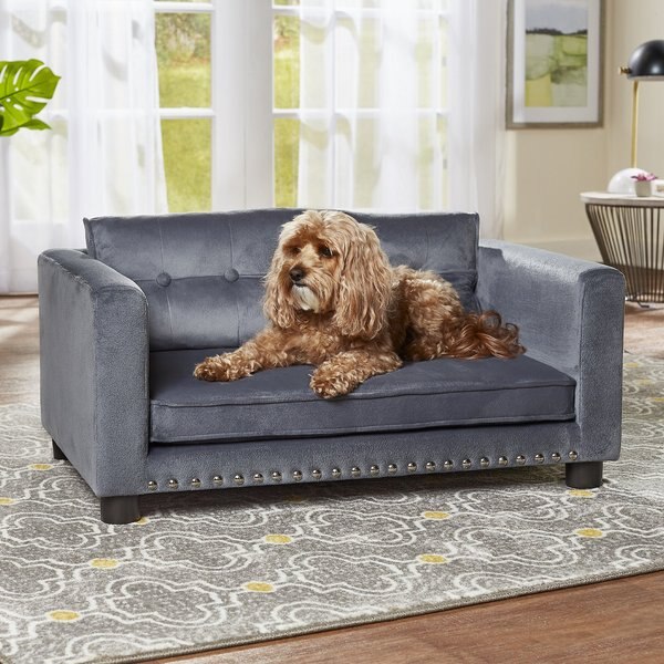 Enchanted Home Pet Casey Sofa Cat & Dog Bed w/ Removable Cover slide 1 of 9