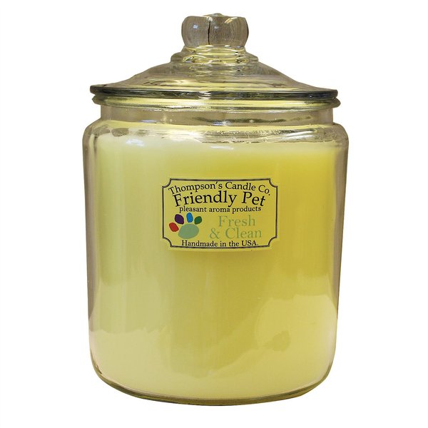 Thompson's Candle Co. Fresh & Clean Scented Friendly Pet Heritage Jar 3 WickCandle  slide 1 of 1