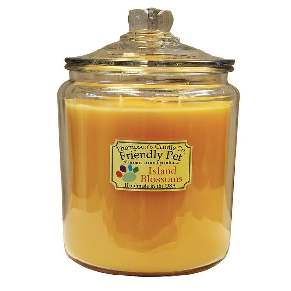 Thompson's Candle Co. Island Blossoms Scented Friendly Pet Heritage Jar 3 Wick Candle slide 1 of 1