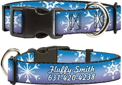 Buckle-Down Disney Frozen II Snowflakes Polyester Personalized Dog Collar, slide 1 of 1