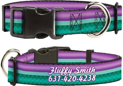 Buckle-Down Disney Little Mermaid Stripe & Shell Polyester Personalized Dog Collar, slide 1 of 1