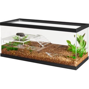 Glasscages Turtle Tank with Platform & Ramp, 20-gal
