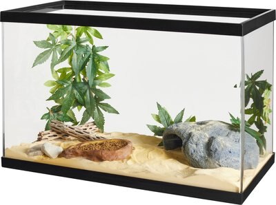 Glasscages Reptile Terrarium, slide 1 of 1