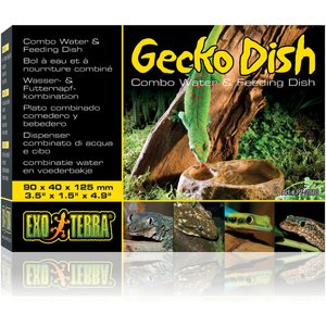 Exo Terra Gecko Dish