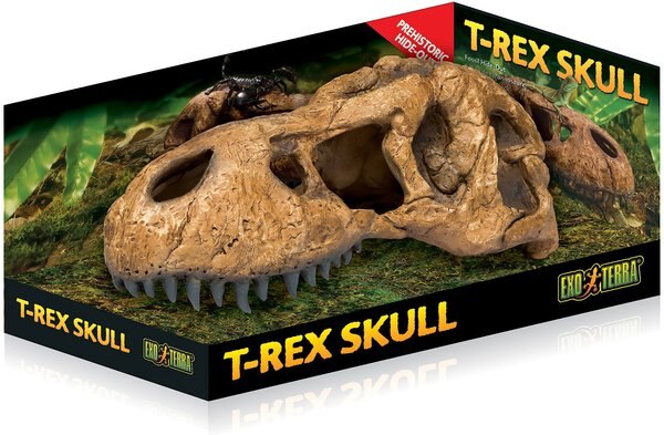 Exo Terra T-Rex Skull Reptile Terrarium Décor slide 1 of 1
