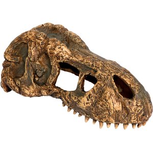 Exo Terra T-Rex Skull Reptile Terrarium Ornament
