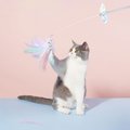 ZEZE Unicorn Fairy Teaser Cat Toy