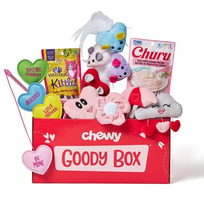 Goody Box Valentine's Cat Toys & Treats, slide 1 of 1