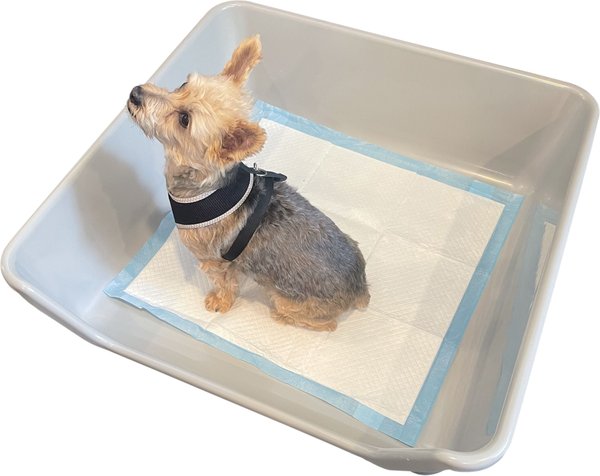 Shirley K's Indoor Dog Potty Tray, X-Large, Gray slide 1 of 4