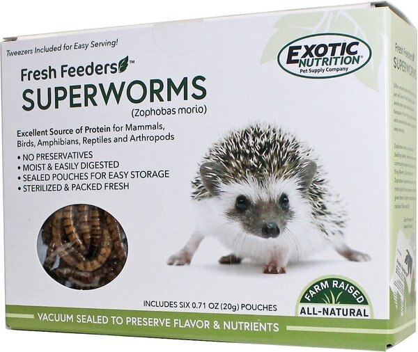 Exotic Nutrition Fresh Feeders Superworms Reptile Food, 5-oz box slide 1 of 4