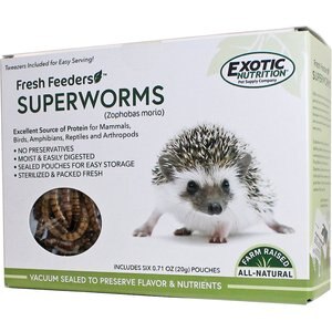 Exotic Nutrition Fresh Feeders Superworms Reptile Food, 5-oz box