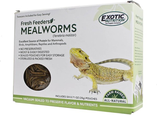 Exotic Nutrition Fresh Feeders Mealworms Reptile Food, 5-oz box slide 1 of 4