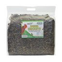Exotic Nutrition Dried Crickets Small Animal Treats, 2.2-lb bag