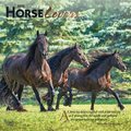 Horse Lovers 2022 Square Calendar