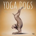 Yoga Dogs 2022 Square Calendar