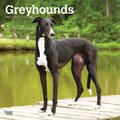 Greyhounds 2022 Square Calendar