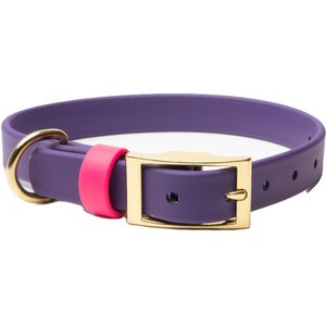 PawFurEver Waterproof Dog Collar, Purple & Pink, Small