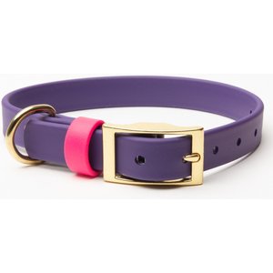 PawFurEver Waterproof Dog Collar, Purple & Pink, Medium