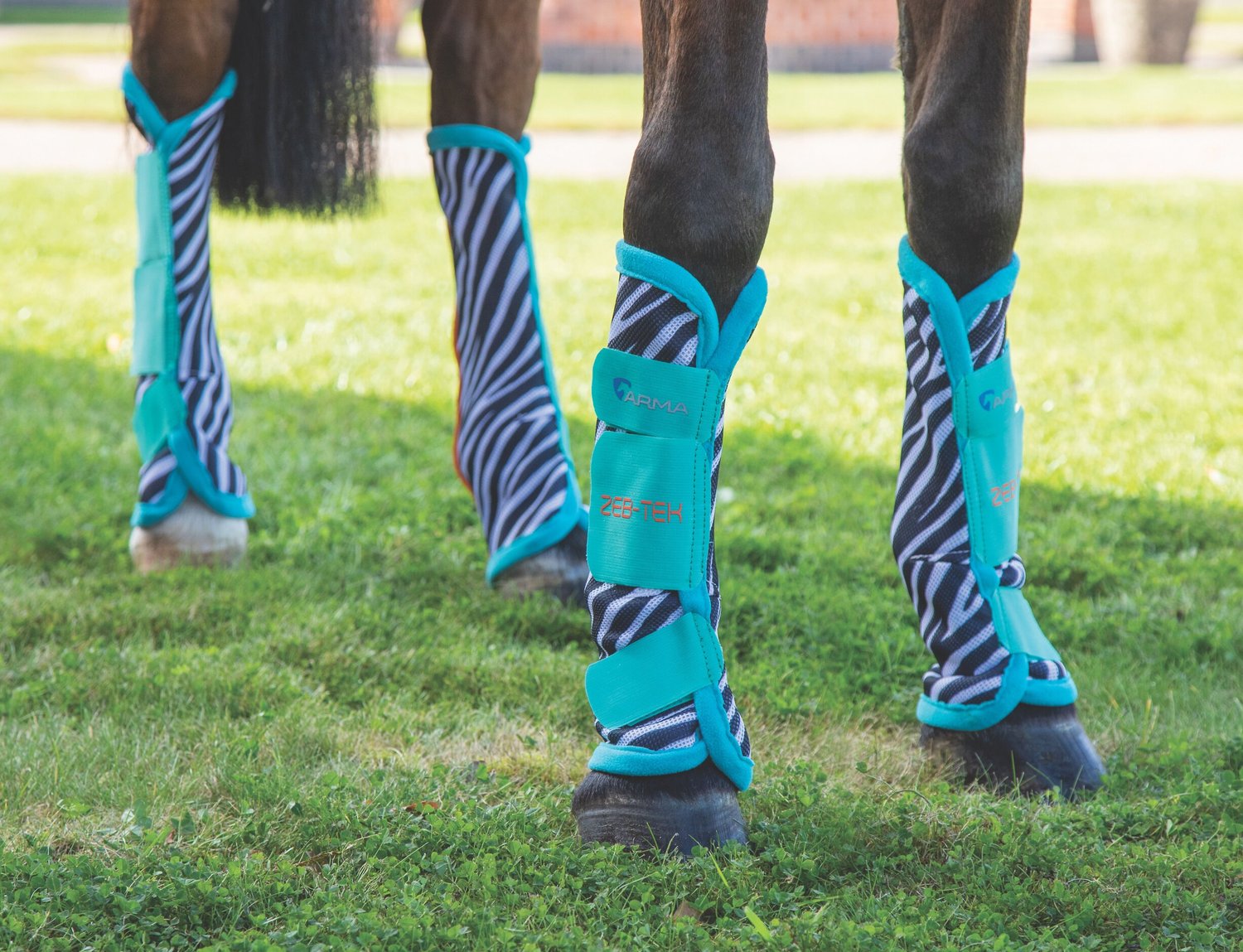 Shires Equestrian Products ARMA Zeb-Tek Fly TU Horse Socks