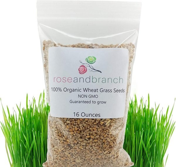 Rose & Branch Organic Wheat Cat Grass Seeds, 16-oz pouch slide 1 of 5