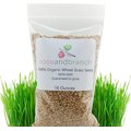 Rose & Branch Organic Wheat Cat Grass Seeds, 16-oz pouch