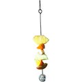 Caitec Featherland Paradise Working Lunch Skewer Bird Toy Extender, 12-in