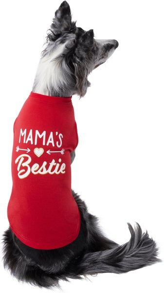 Frisco Mama's Bestie Dog & Cat T-Shirt, Medium slide 1 of 6