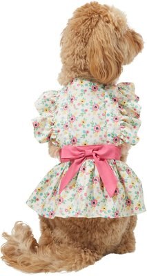 Frisco Dainty Pink Floral Dog & Cat Dress, slide 1 of 1