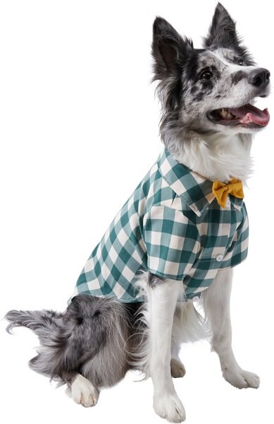 Frisco Boho Plaid Dog & Cat Shirt, Small slide 1 of 9