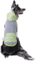 Frisco Green Southwest Dog & Cat Hoodie, Small