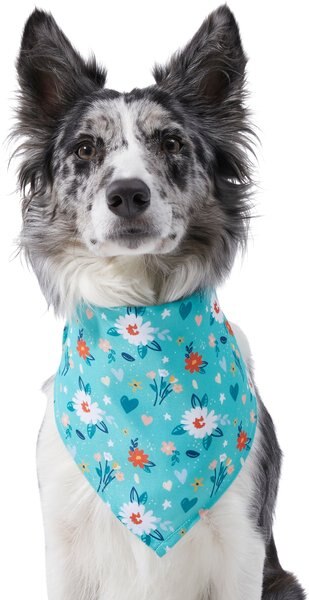 Frisco Spring Floral Dog & Cat Bandana, Medium/Large slide 1 of 6