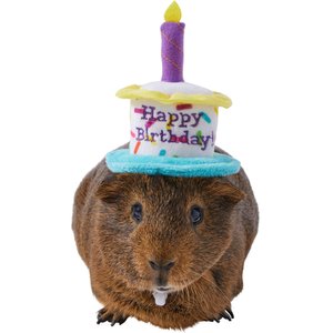 Frisco Happy Birthday Guinea Pig Hat, One Size