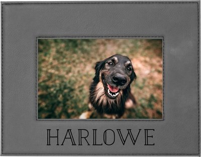 904 Custom Personalized Pet Name Leatherette Picture Frame, slide 1 of 1