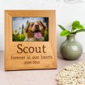 904 Custom Personalized Rustic Forever in our Hearts Pet Memorial Engraved Wooden Picture Frame